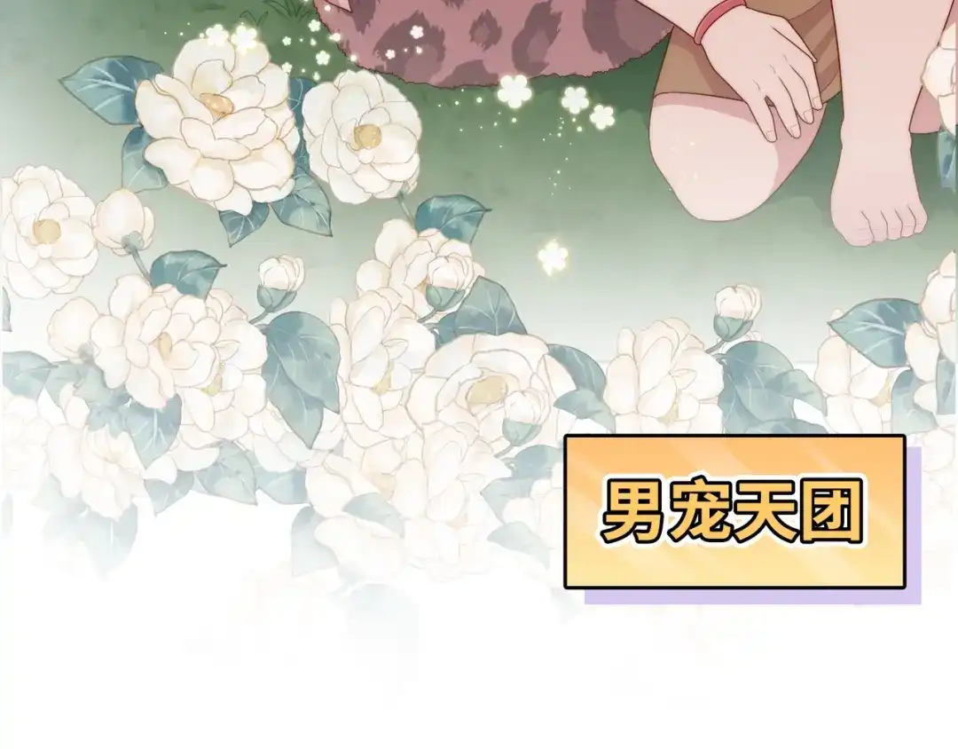 第241页