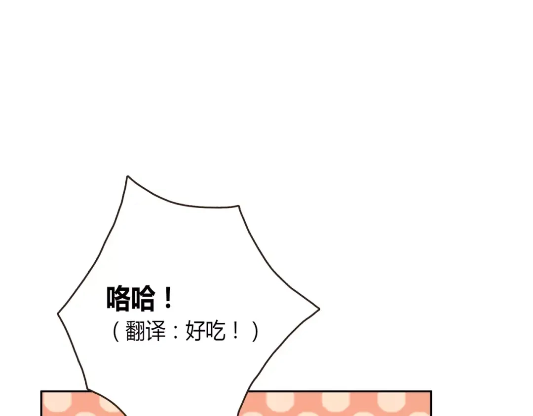 第204页