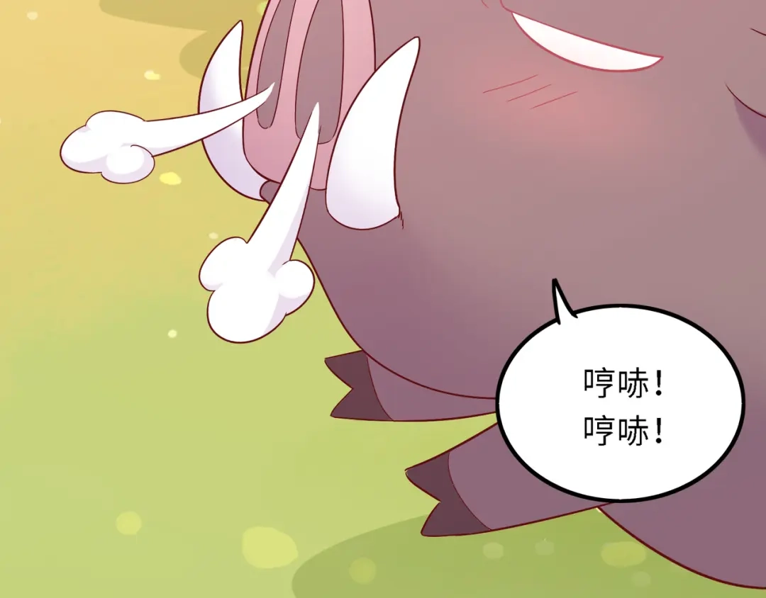 第204页