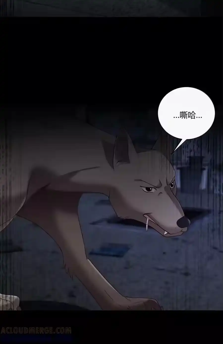 第41页