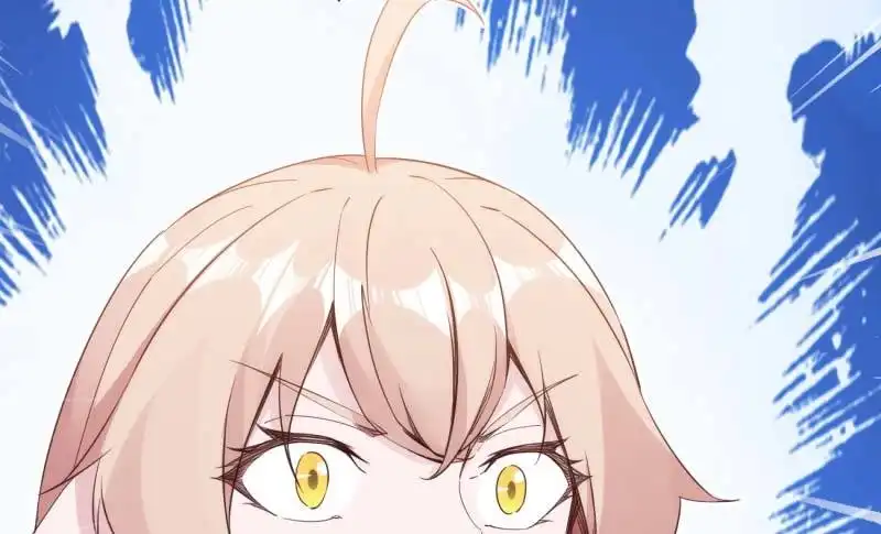 第204页
