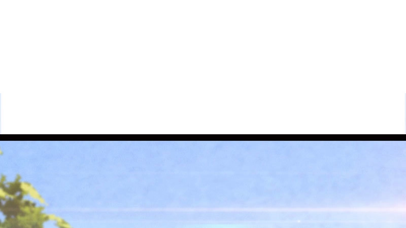 第215页