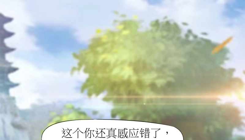 第213页