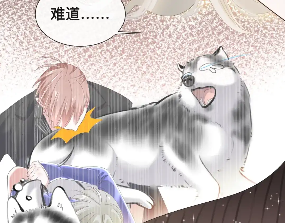 第131页