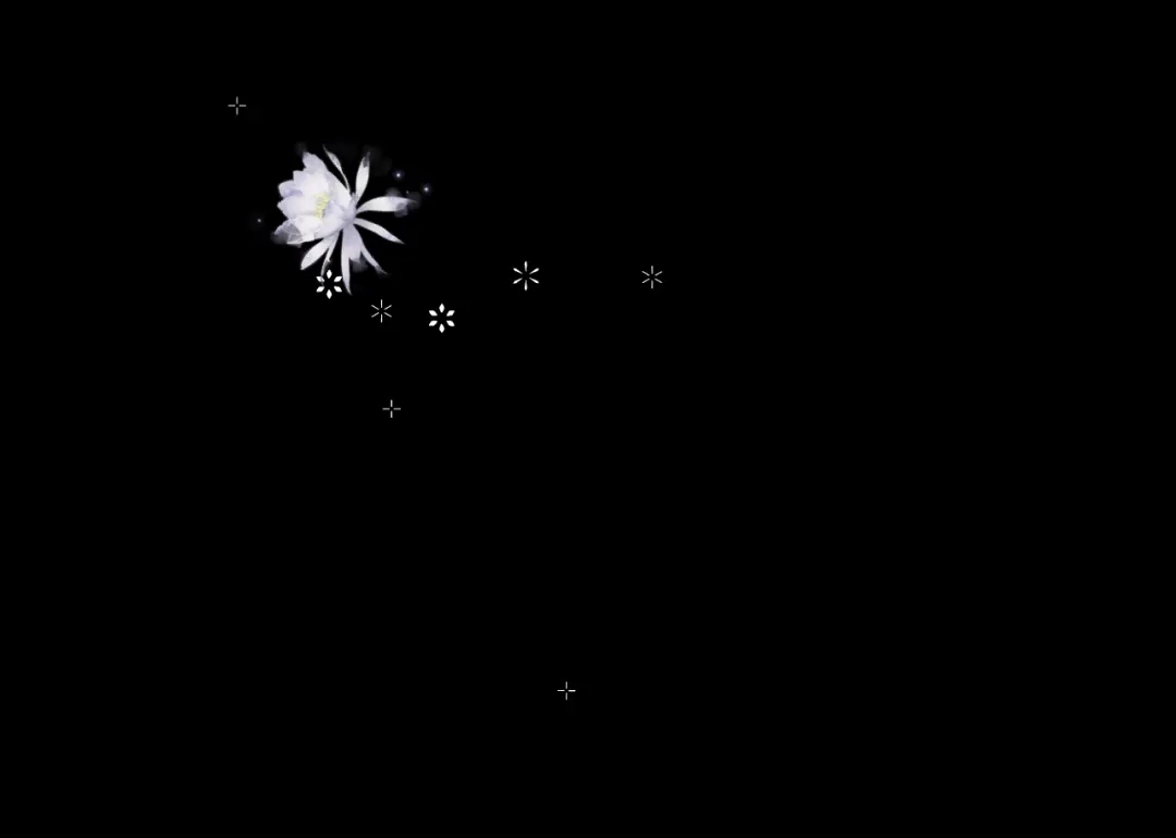 第209页