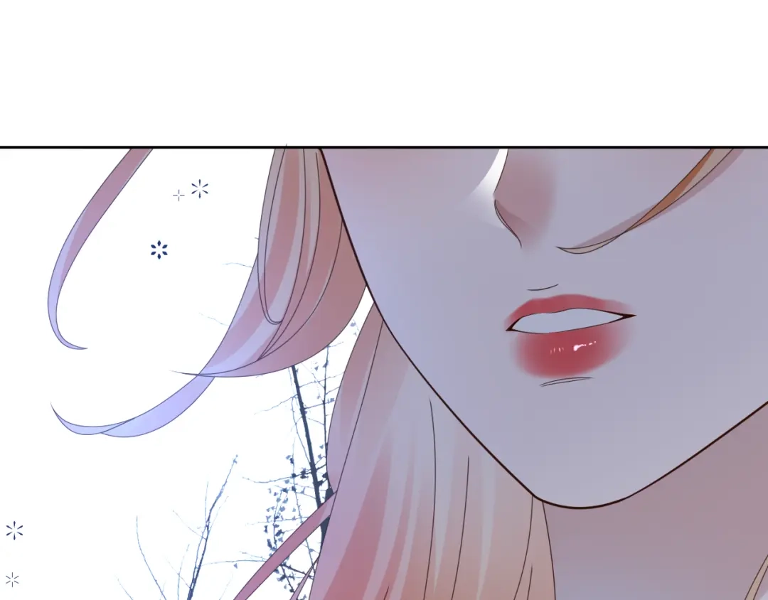 第217页