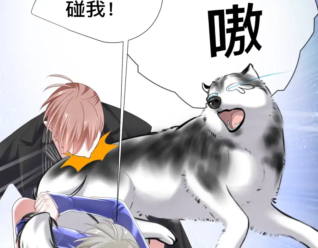 第115页
