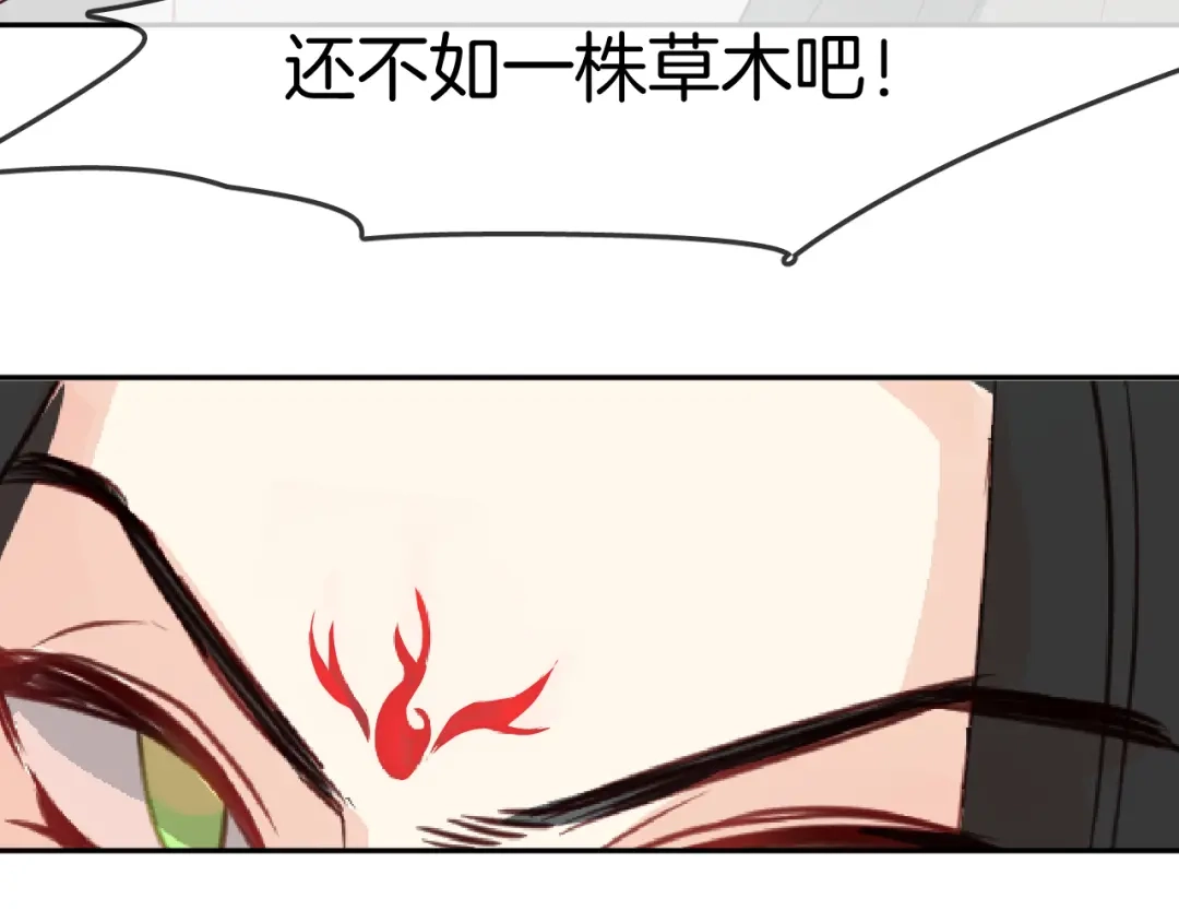 第217页