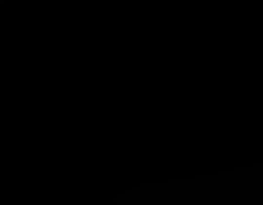 第232页