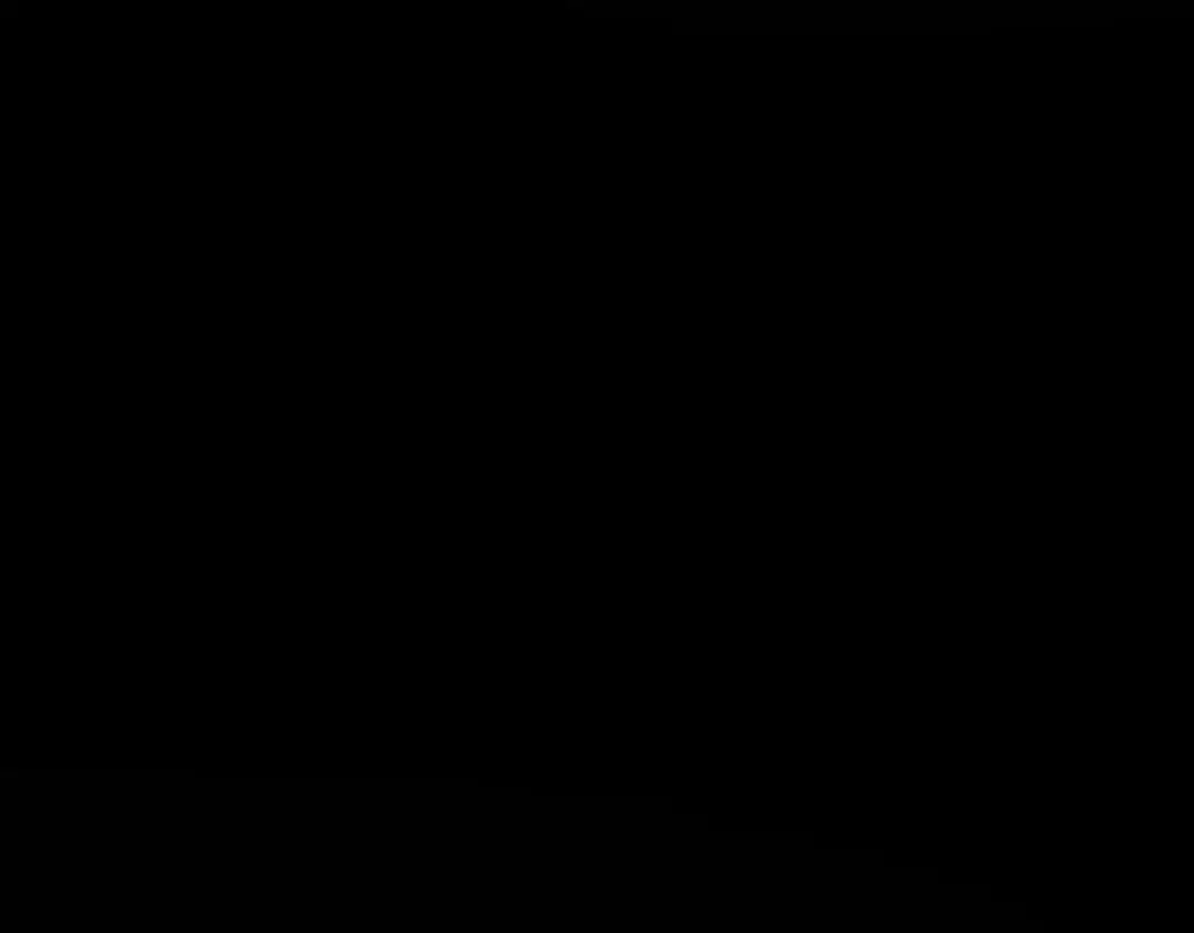第233页