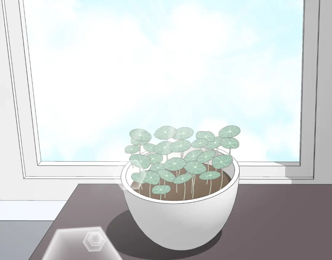 第238页