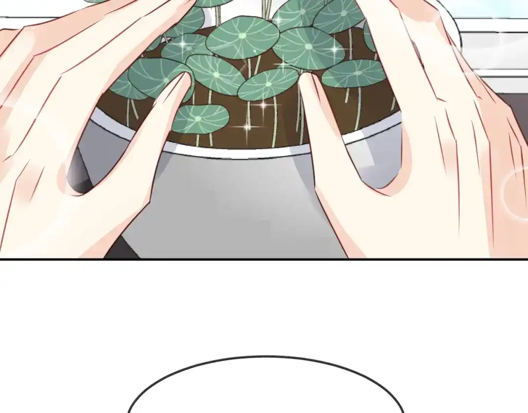 第240页