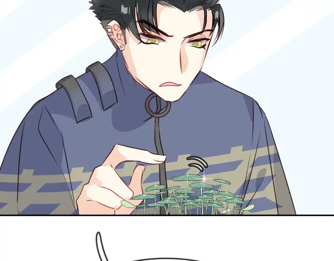 第242页