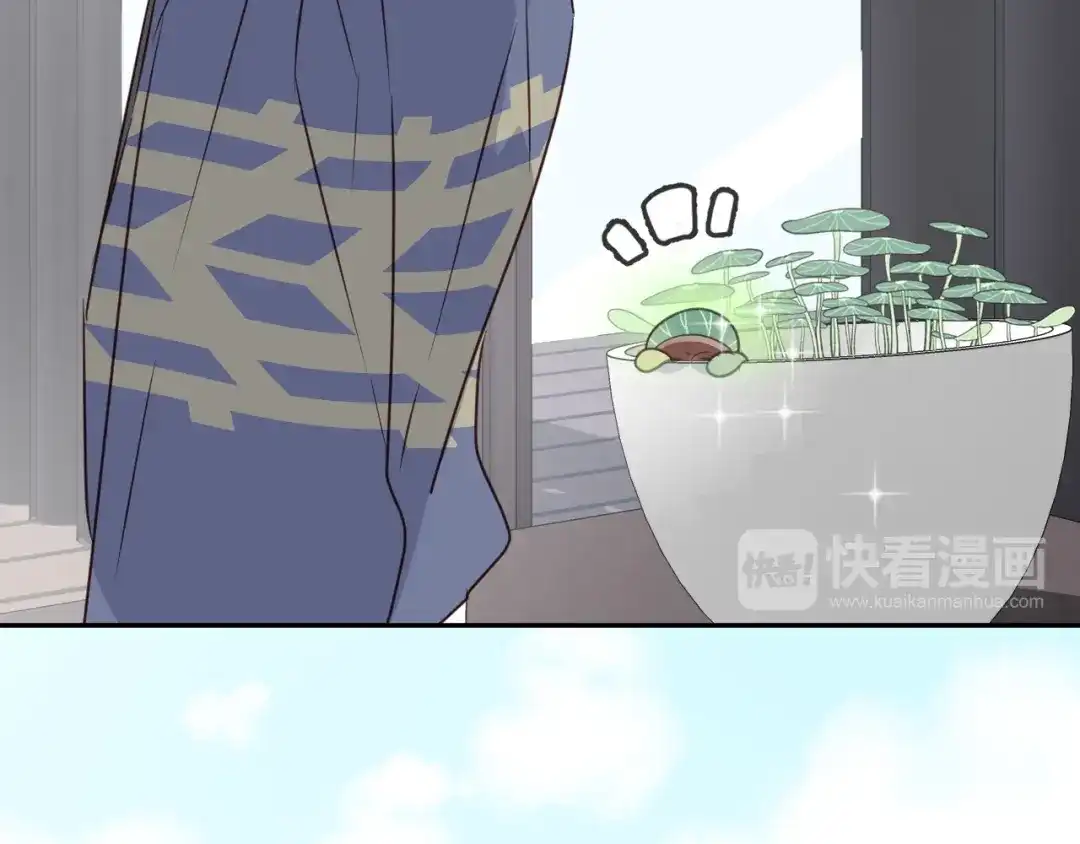 第246页