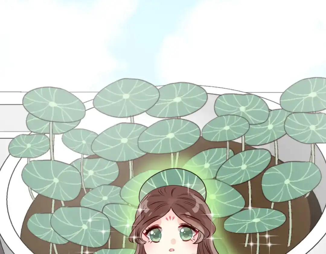 第247页