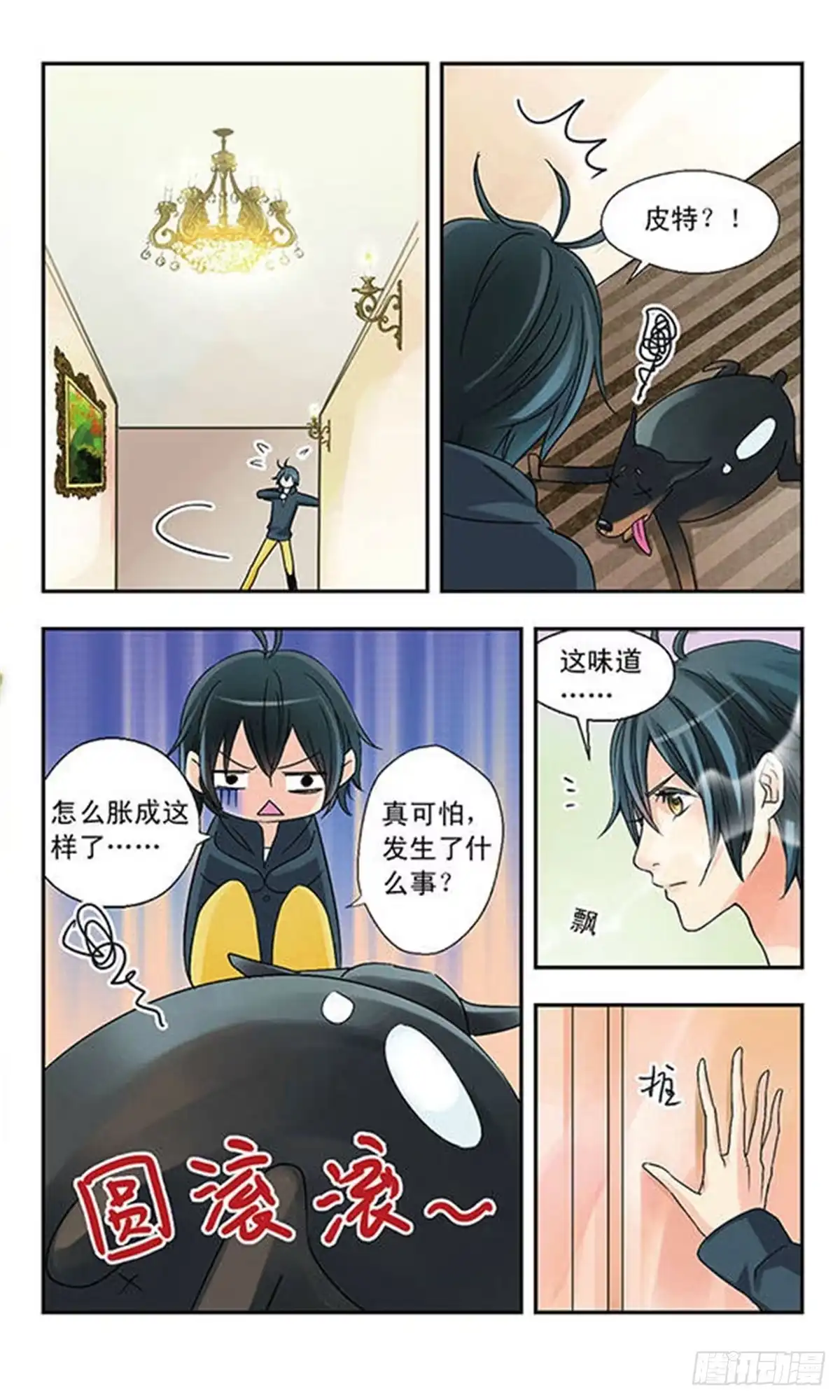 第11页