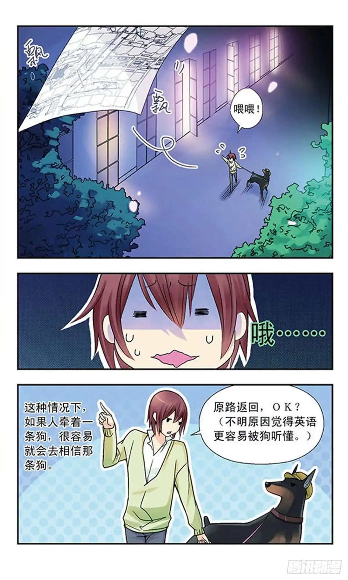 第3页