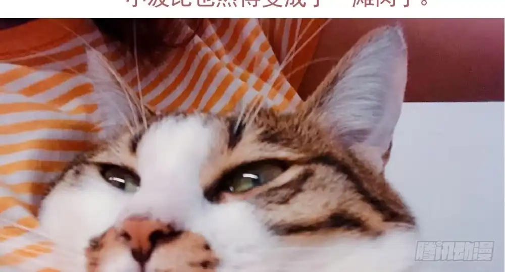 第140页