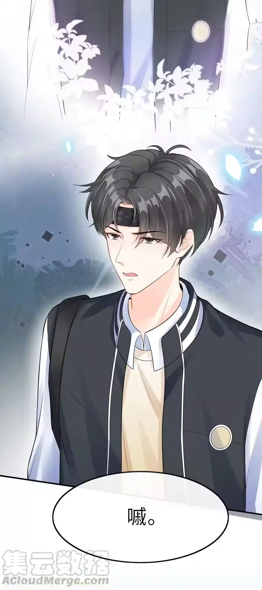 第61页