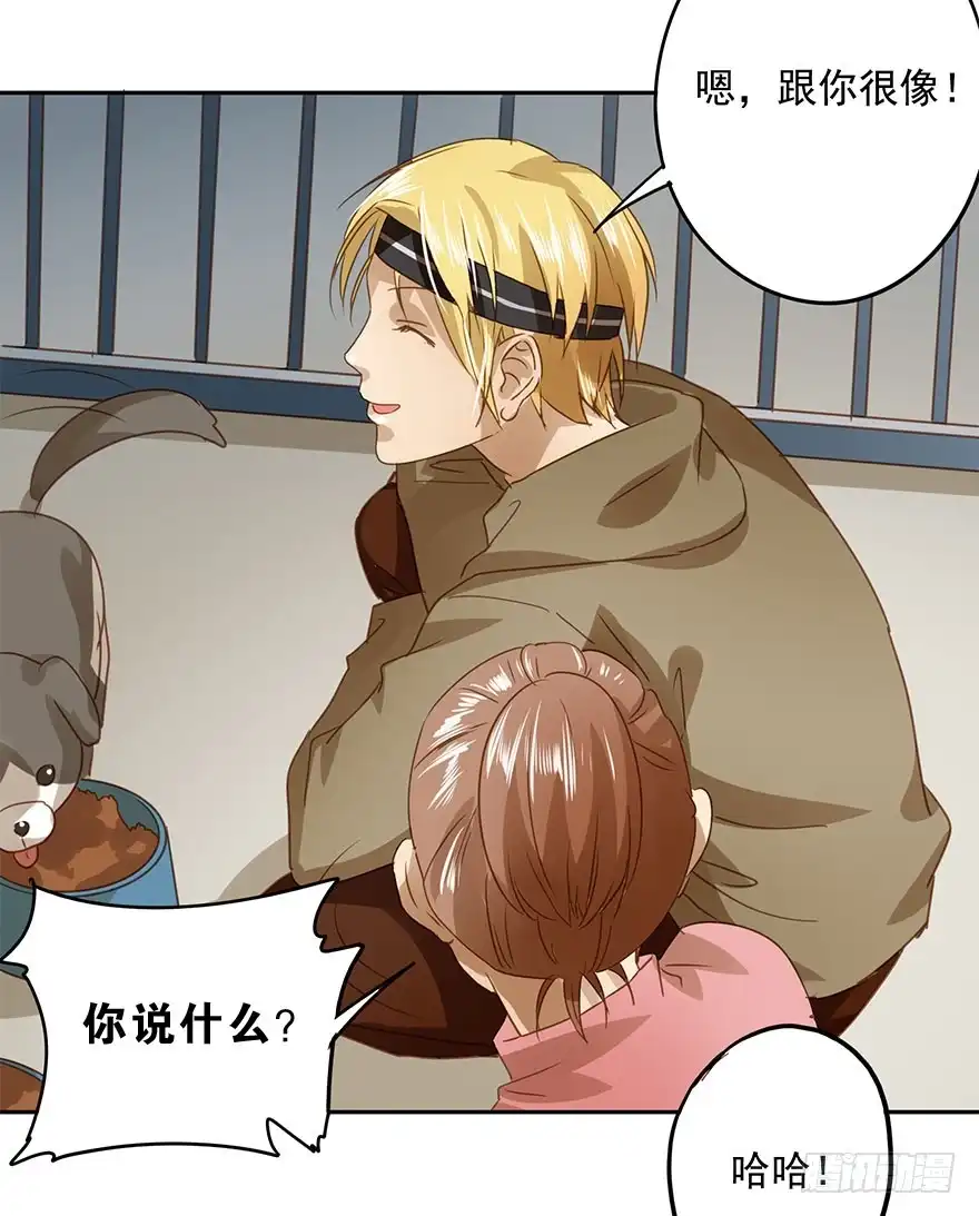 第47页