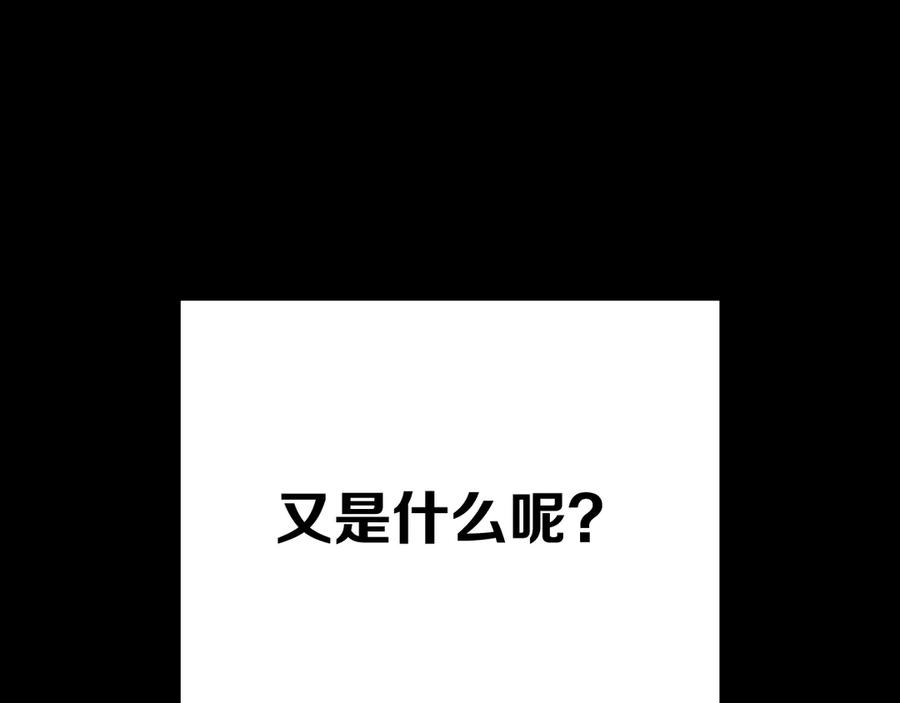 第223页