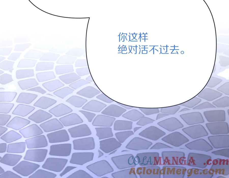第237页
