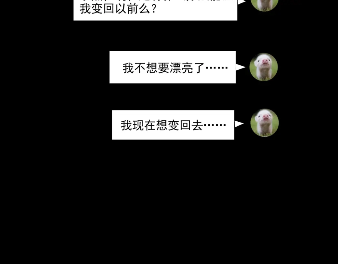 第250页