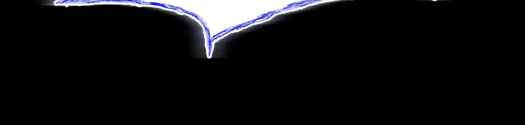 第202页