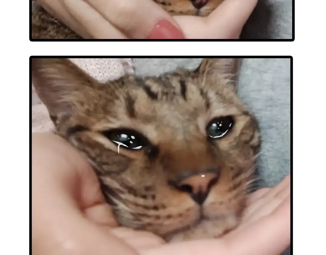第170页