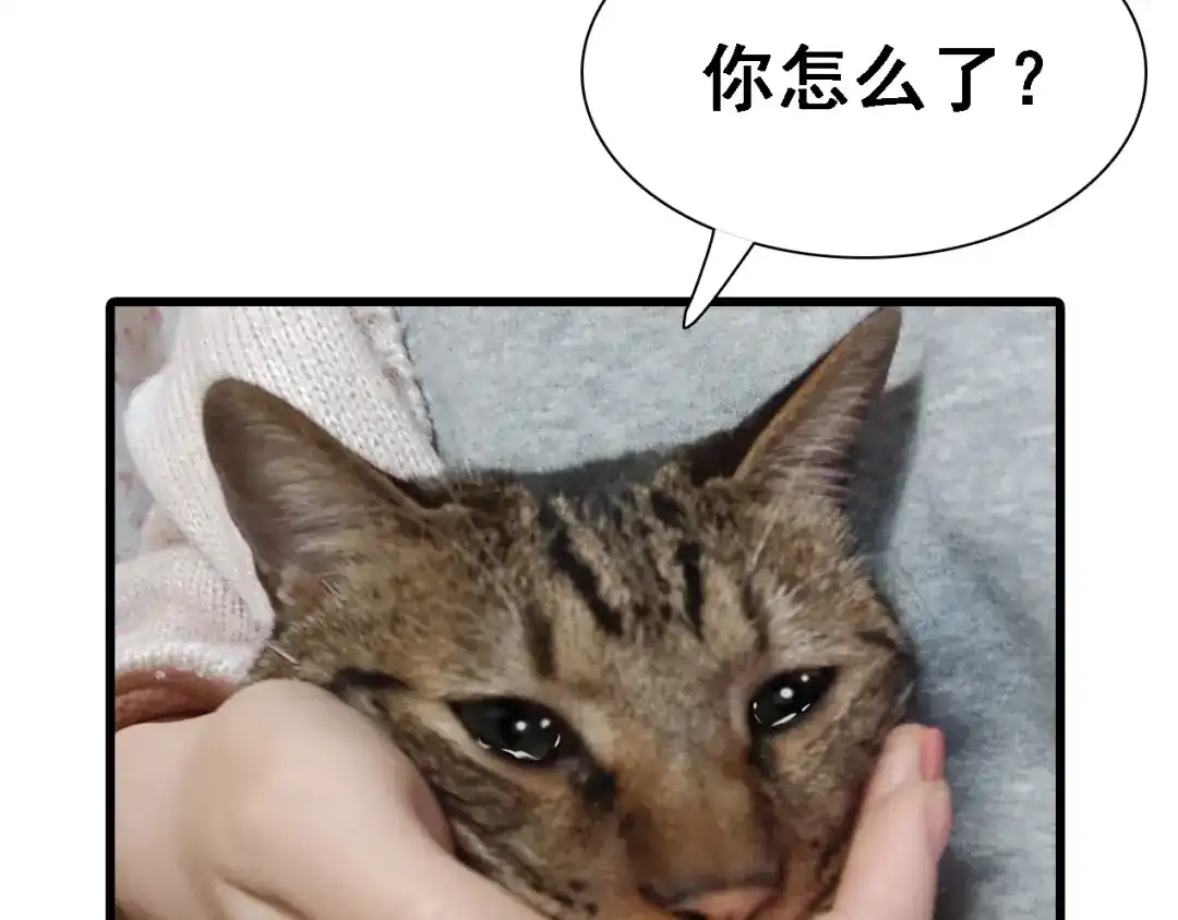 第193页