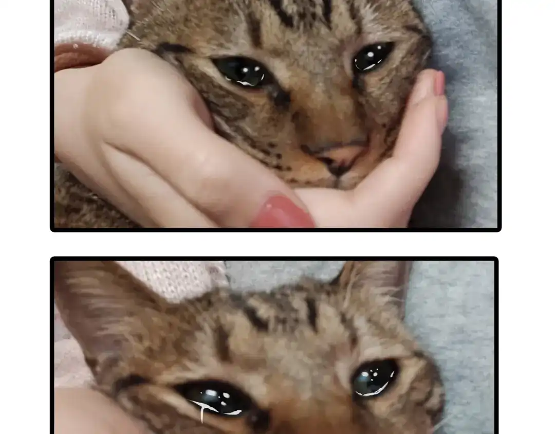 第184页
