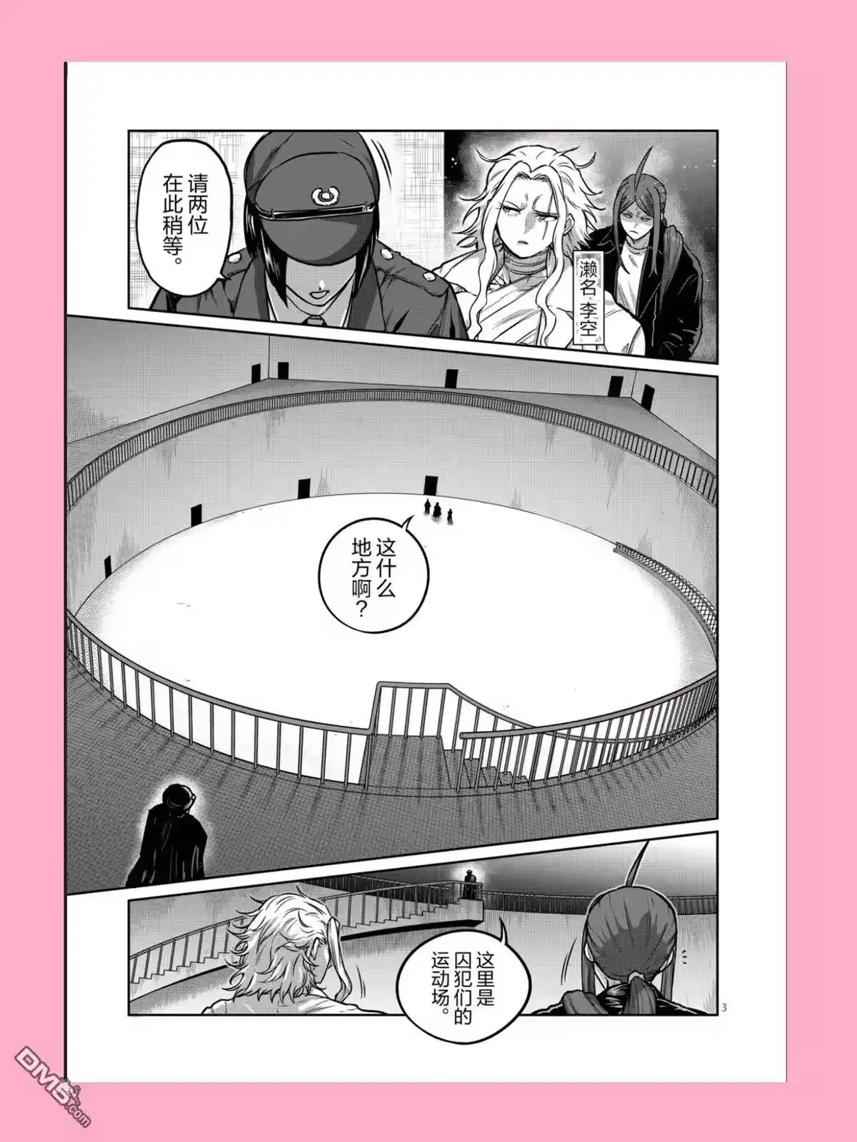 第3页
