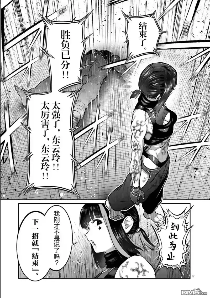 第17页