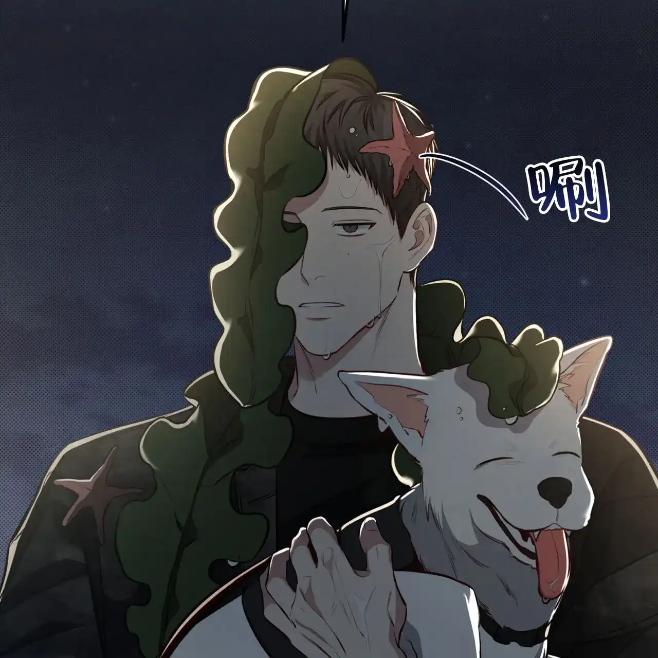 第47页