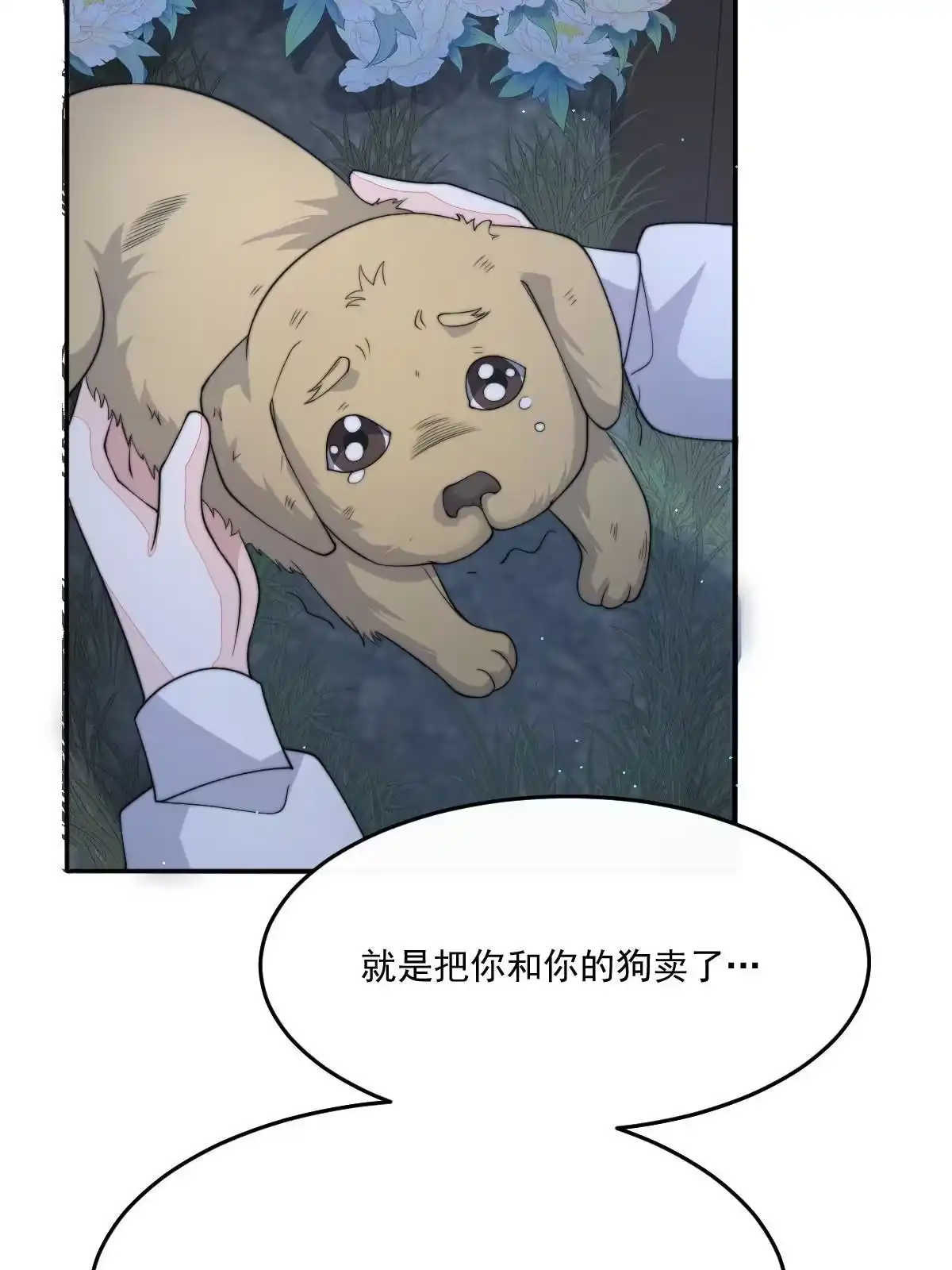 第85页
