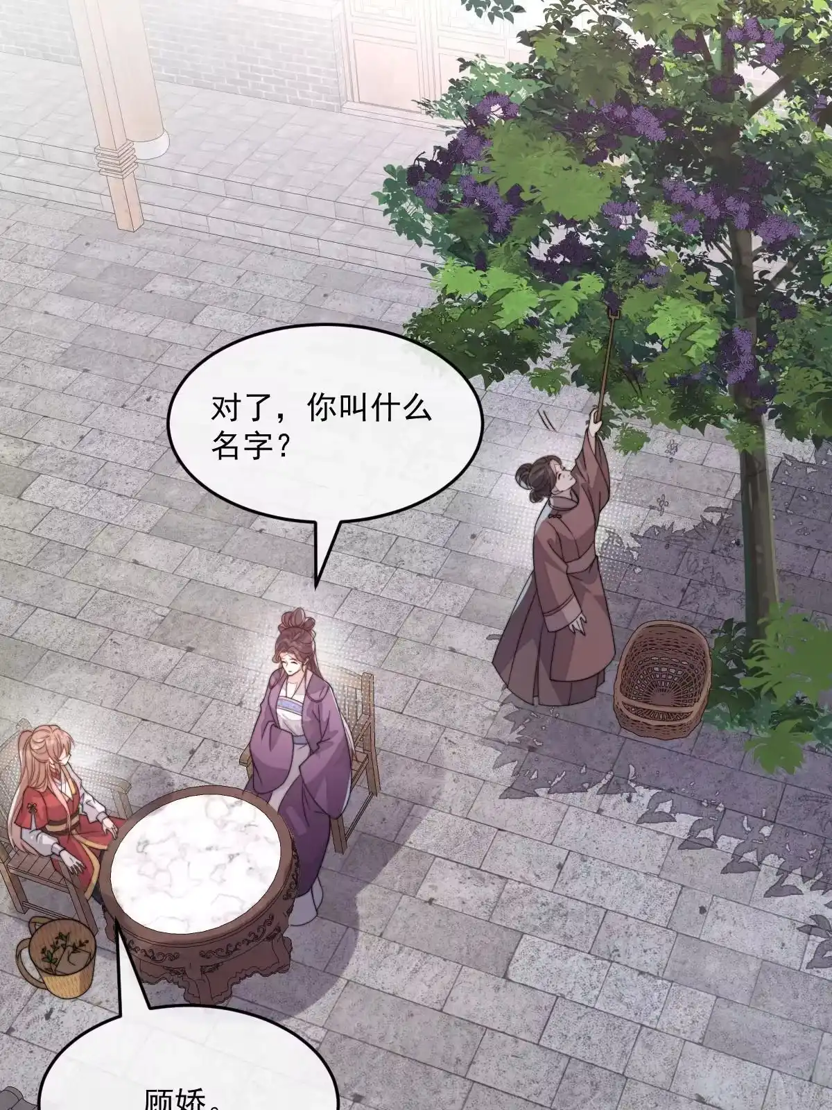 第185页
