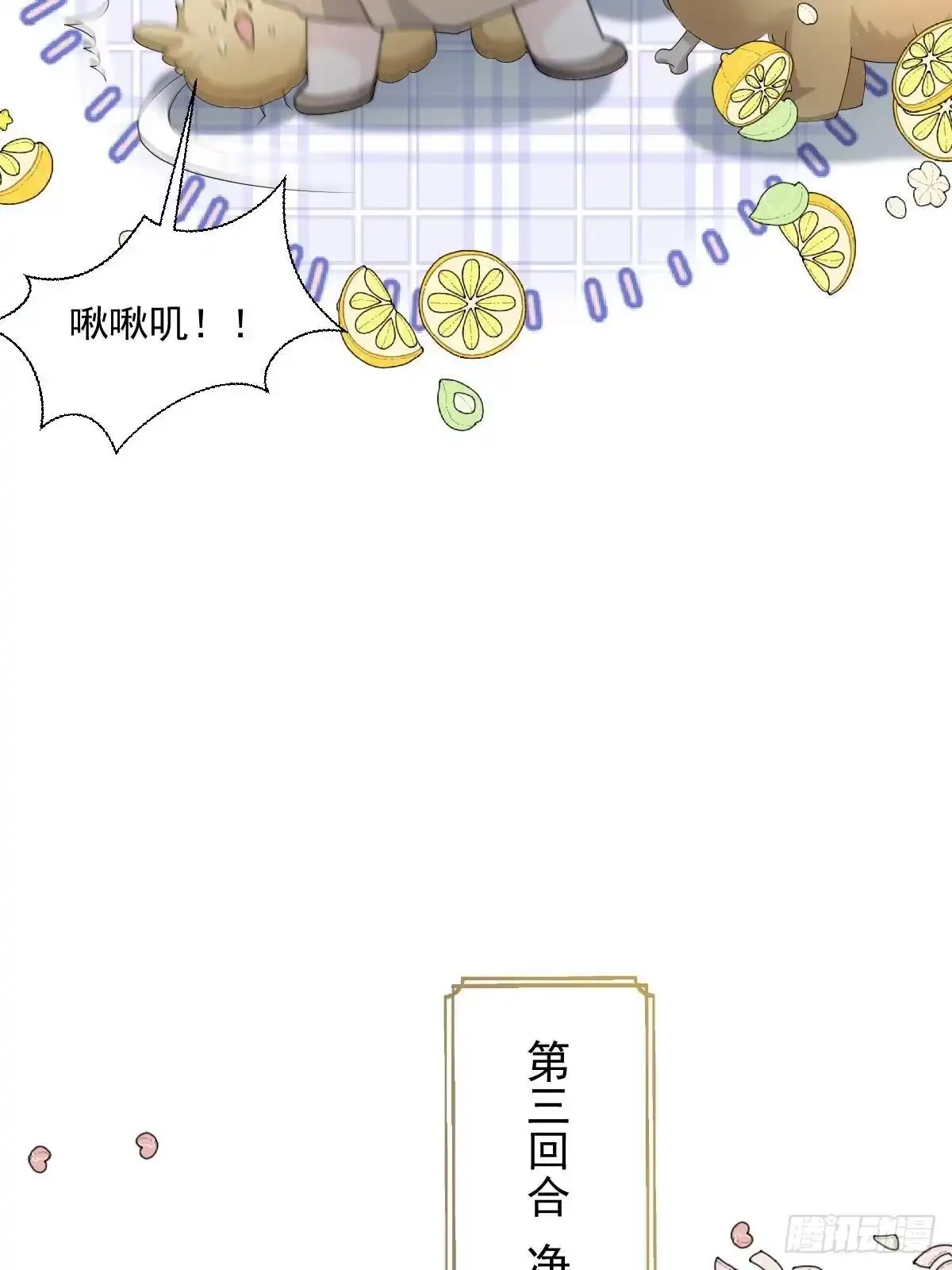 第53页