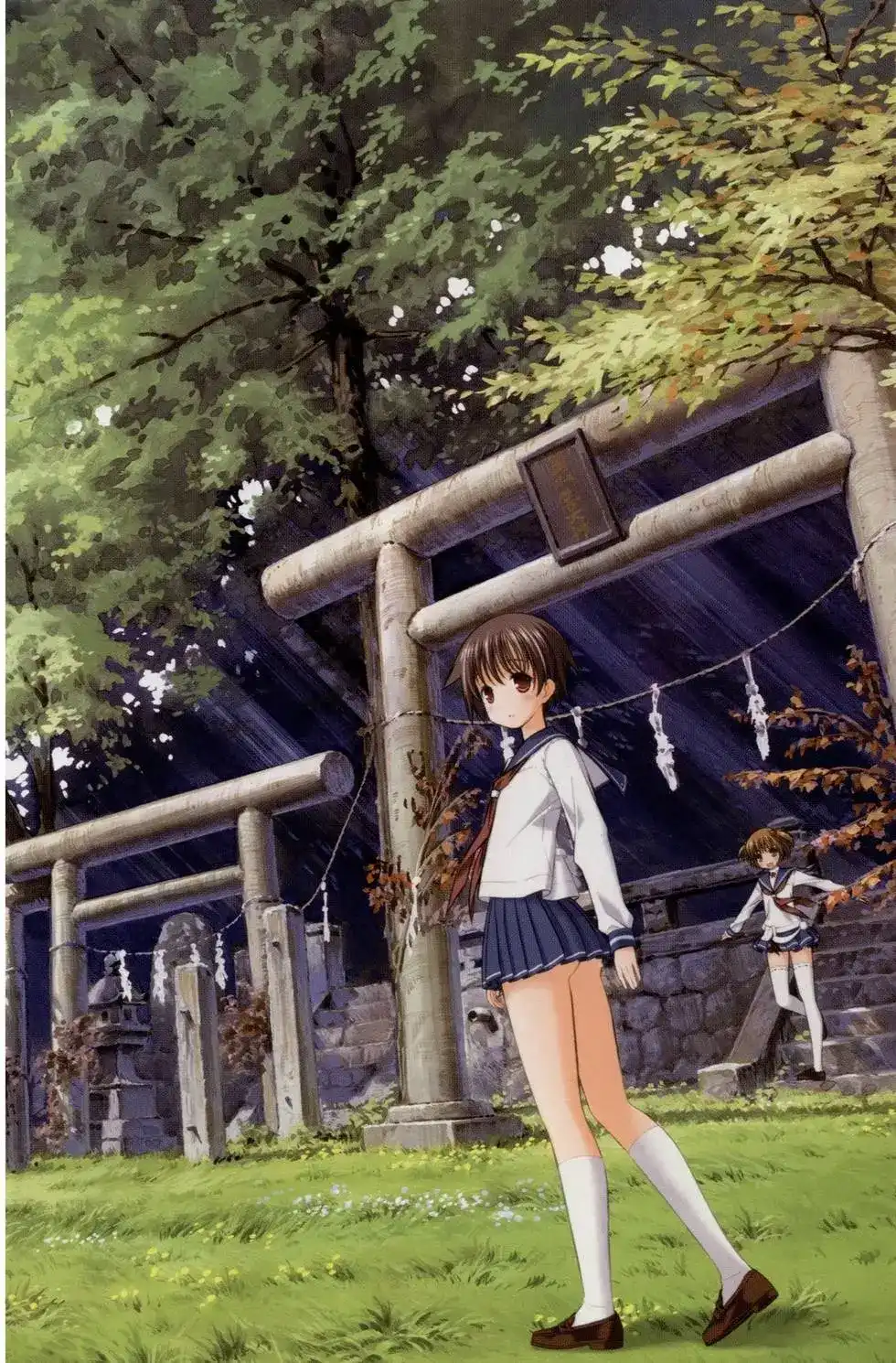第7页