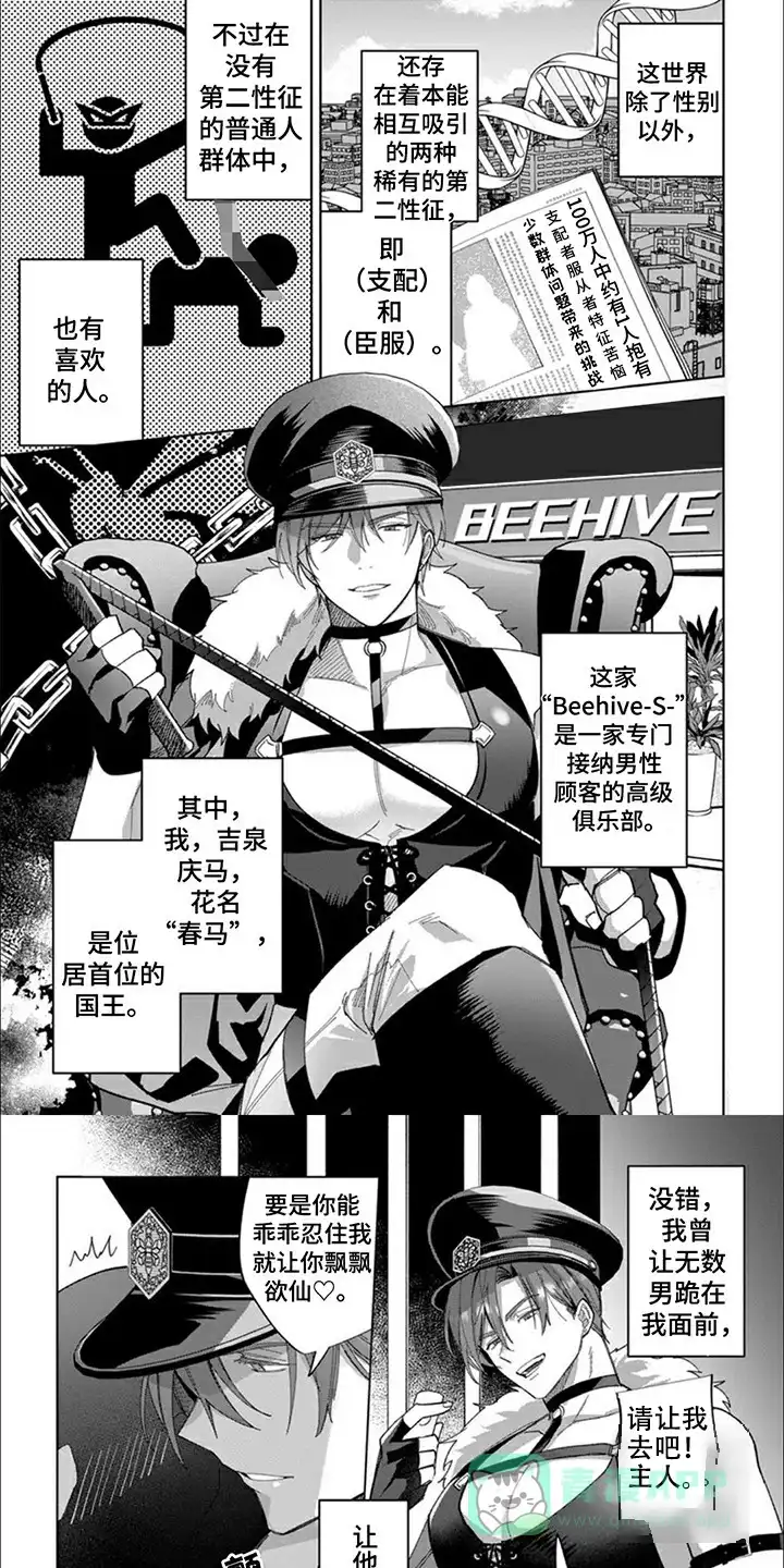 第1页
