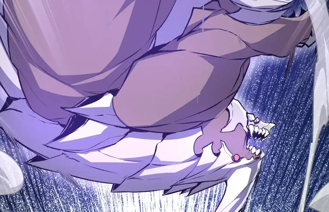 第205页