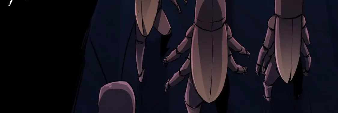 第217页