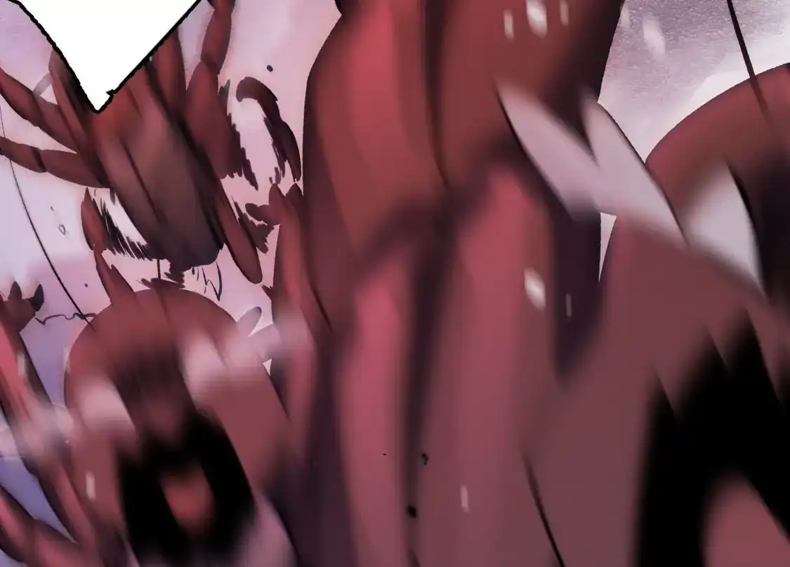 第255页