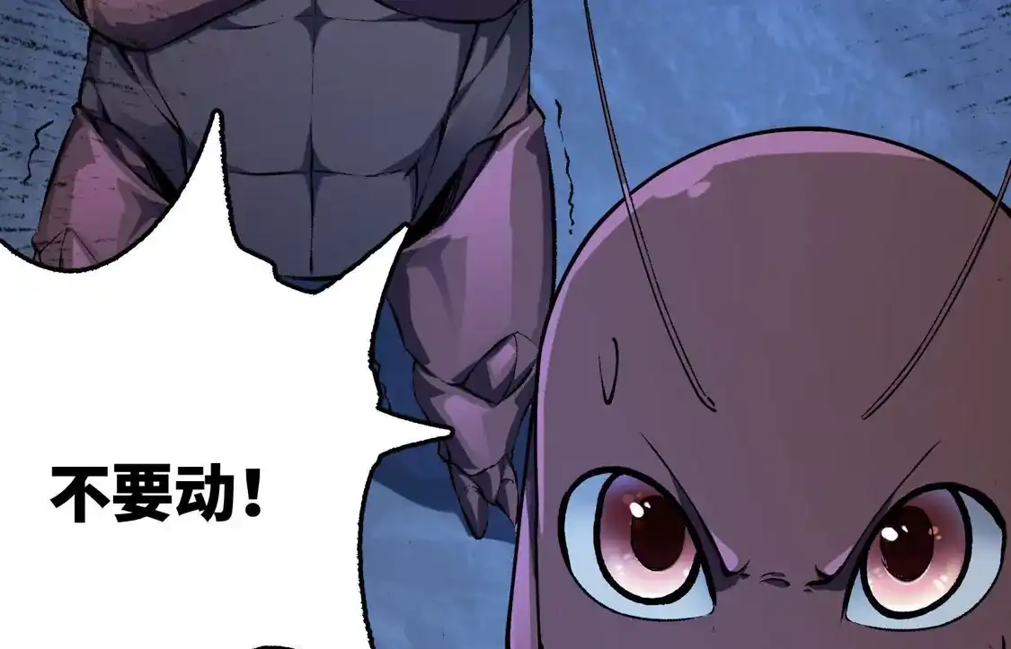 第275页