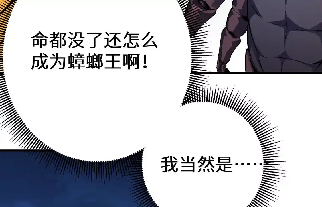 第293页