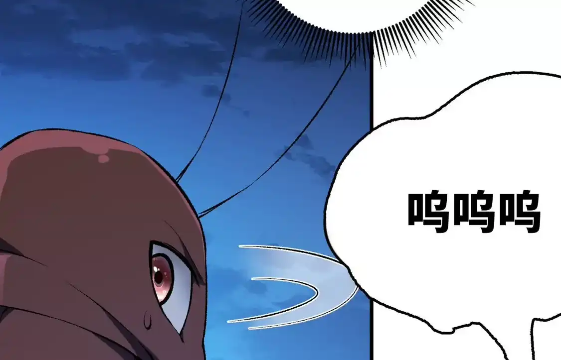 第294页