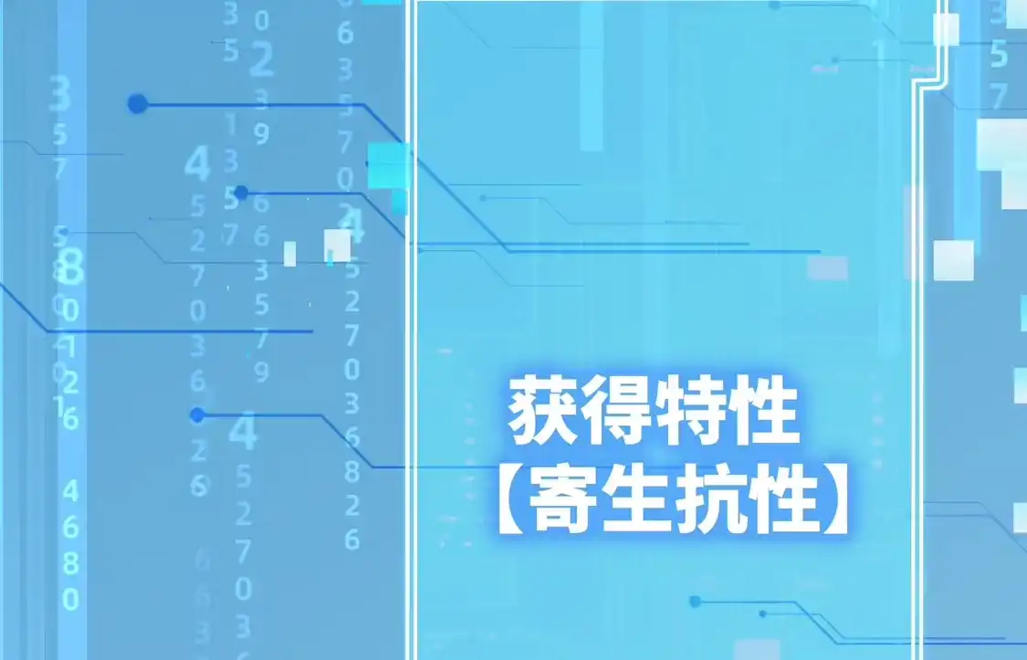 第107页