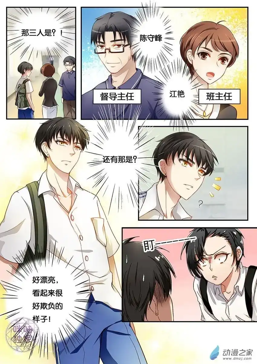 第3页