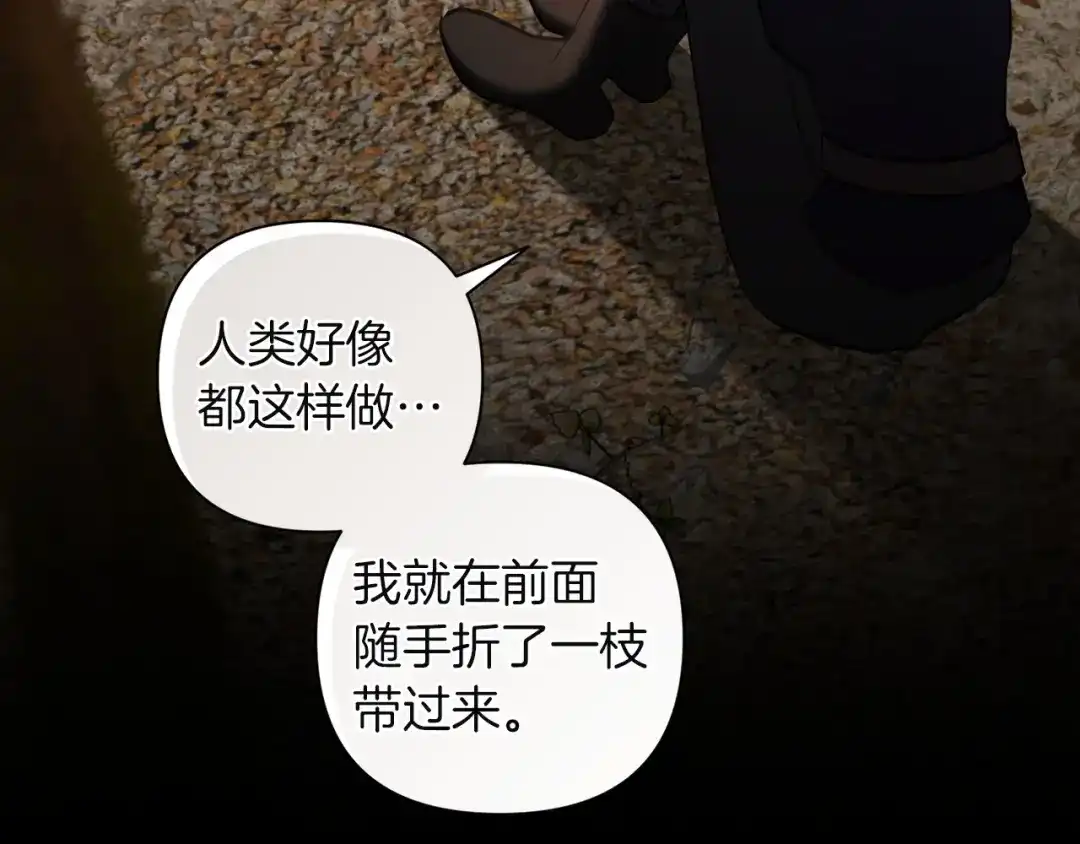 混世幼崽又在惹麻烦 第5话 巨龙也想成为剑圣 第143页