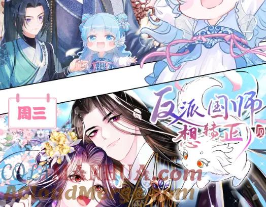 第113页