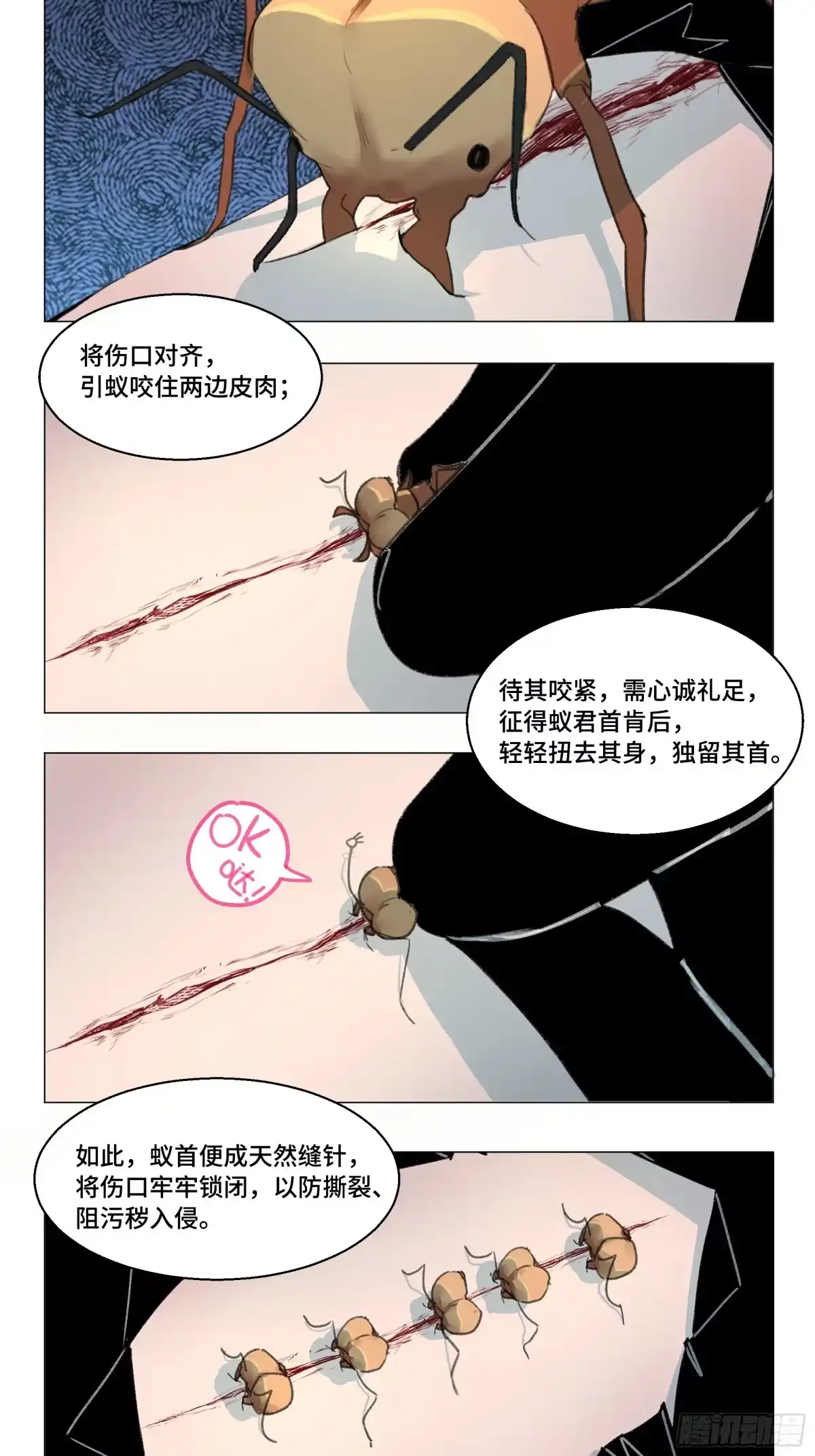 愚女 番外01 愚女大百科 何不凡的荒野求生小课堂 第3页